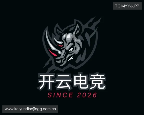 关于开云电竞